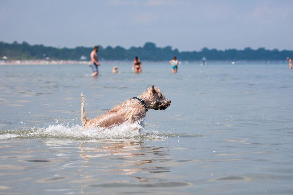 Zur Alten Schmiede I Boltenhagen  Exterior foto